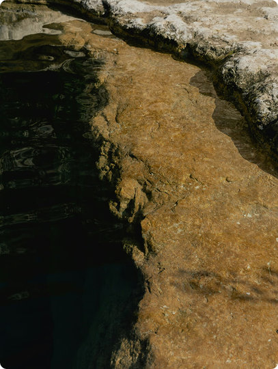 Environment